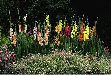 《如龙7外传》新宣传片 不要老盯着赤目大美女看